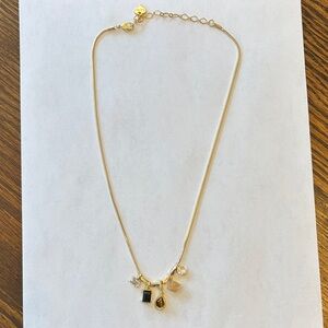 Delicate Gold Multi-Charm Necklace with Black and Clear Accents